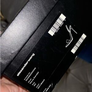 Alexander wang original heels